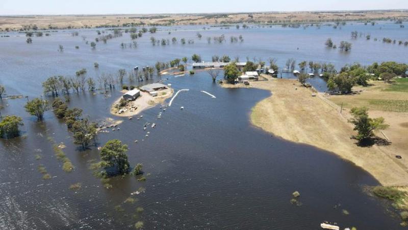 كانت بلدة فيتزروي كروسينغ من بين أكثر المناطق تضررًا من الفيضانات - تويتر