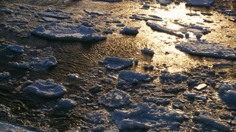 سجّل الجليد البحري في القطب الجنوبي سادس أدنى مستوى منذ بدء تسجيل البيانات قبل 45 عامًا- غيتي.