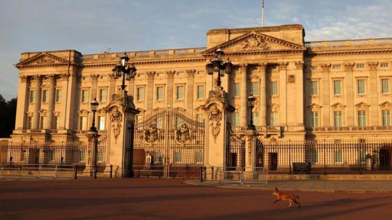سبق أن سُجّلت عمليات اقتحام للمباني الملكية، بما في ذلك قصر باكنغهام