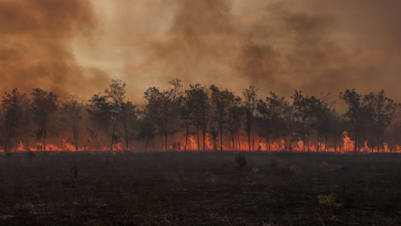 اندلع الحريق أمس السبت وأتى على 417 هكتارا من‭ ‬الأدغال - رويترز