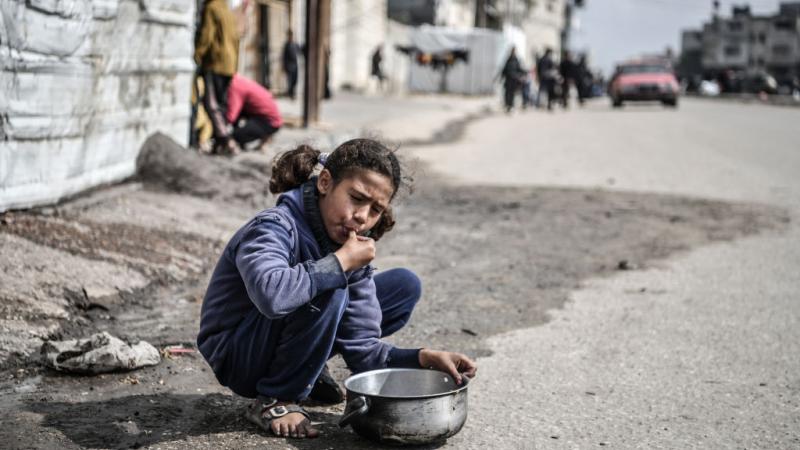 يجول الأطفال في غزة مع أوعية فارغة للبحث عن طحين أو أعلاف أو حبوب