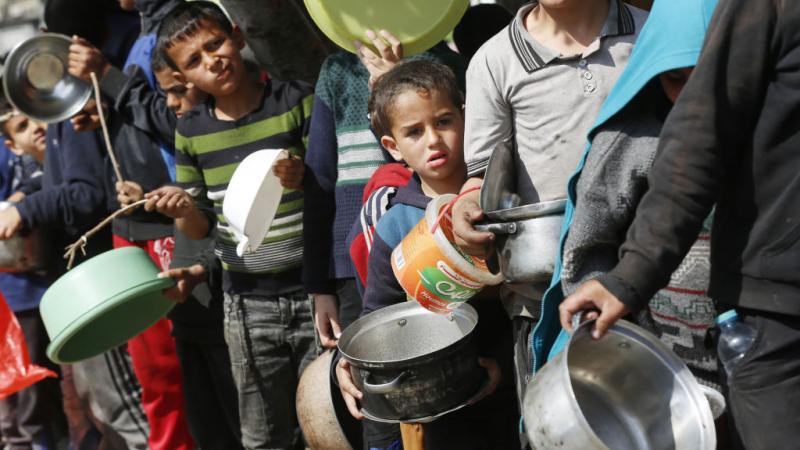 قال برنامج الغذاء العالمي إن أزمة سوء التغذية تتزايد بغزة في ظل حالة الطوارئ