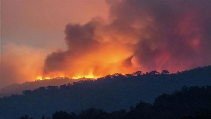   أصدرت تحذيرات من "خطر الحرائق الشديد" في أجزاء من ولايتي فيكتوريا وجنوب أستراليا - الأناضول