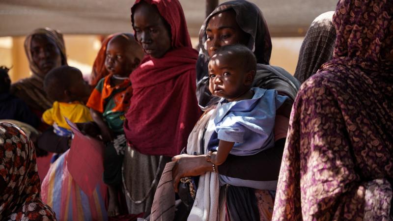 يقدر التصنيف المرحلي المتكامل أن ما يقرب من 5 ملايين شخص يعانون من سوء التغذية الحاد في السودان