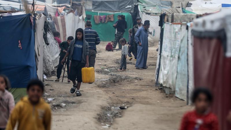 المكتب الأممي: مع تزايد المجاعة في غزة، تضطر الأسر للبحث عن خيارات من أجل البقاء - الأناضول