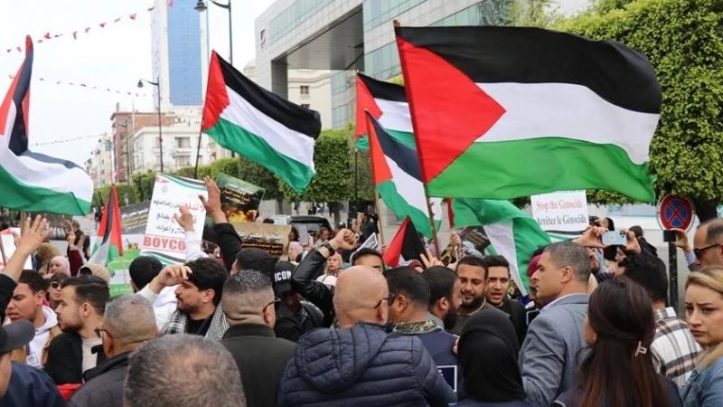 شهد عدد من الجامعات في عواصم عربية مظاهرات تضامنًا مع غزة