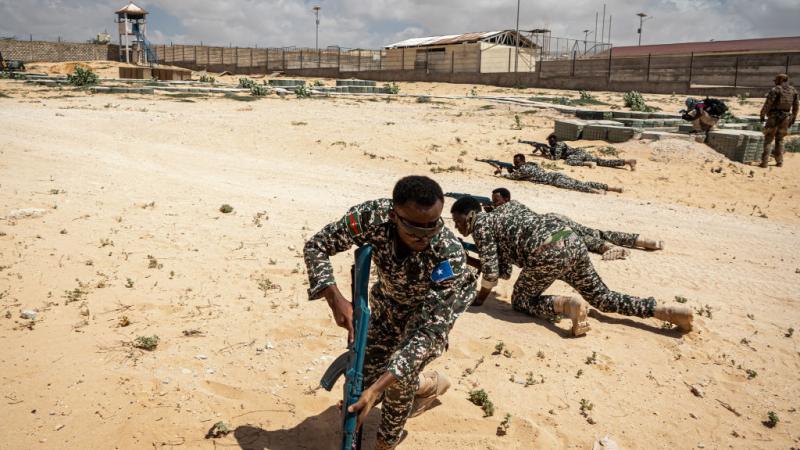تخوض الحكومة الصومالية منذ سنوات حربًا ضد حركة الشباب التي تبنّت تفجيرات أودت بحياة مدنيين وعناصر من الجيش والشرطة