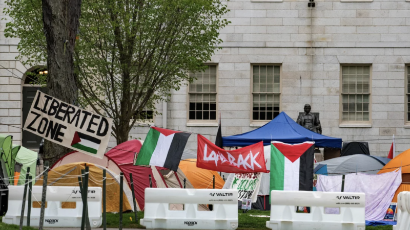  سيفض الطلاب في هارفرد مخيم احتجاج أقيم ضمن إطار احتجاجات الجامعات