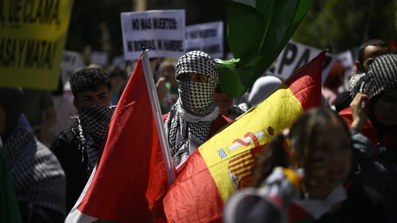 انتشرت مظاهرات تضامنية مع فلسطين في مختلف الجامعات الإسبانية - الأناضول