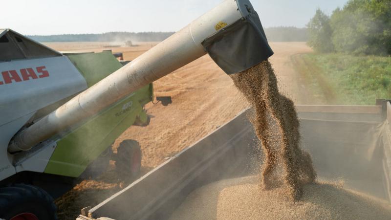 أفادت وزارة الزراعة الأوكرانية أن إجمالي محصول الحبوب والبذور الزيتية لعام 2024 قد ينخفض ​​إلى 74 مليون طن